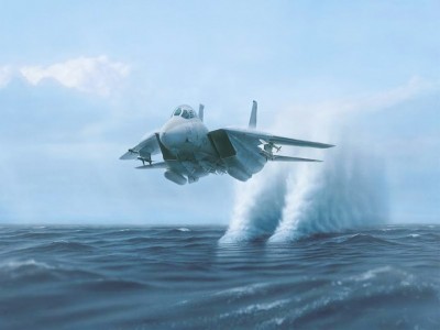 F-14_Tomcat.jpg