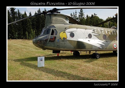 Esercito - CH47 Chinook (0) .jpg