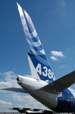 0861294 tail.jpg