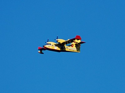 canadair1.jpg