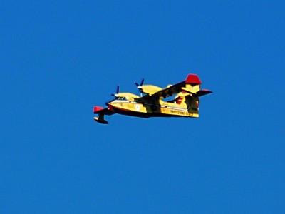 canadair3.jpg