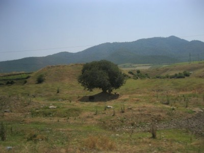 Georgia Landscape 1.JPG