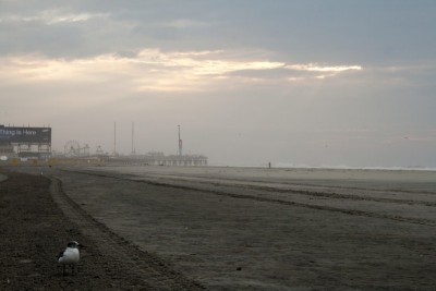 m atlantic city dawn.jpg