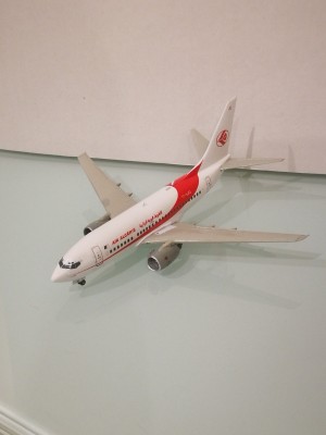 air algerie hasegawa 737600 3.jpg