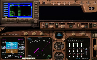 Flight Simulator HOT.jpg