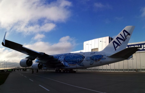 Roll-Out ANA A380 "flying Honu" - Hamburg - 12/12/2018