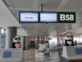 Air China MXP Chengdu (3)