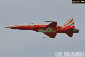 Le Frecce Tricolori festeggiano i 65 anni a Rivolto